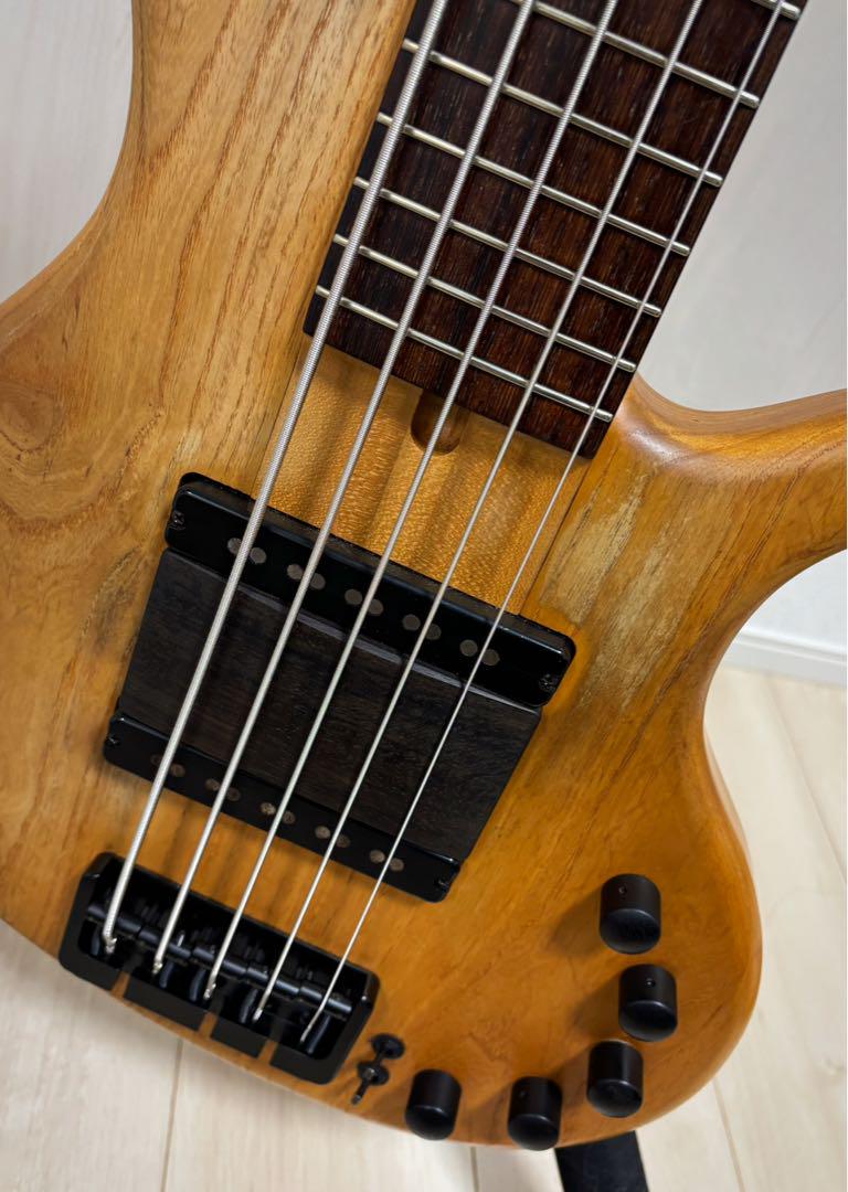 【※連休特価】Elrick Gold Series e-volution 5弦