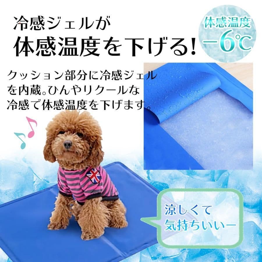 やきざかなさん専用