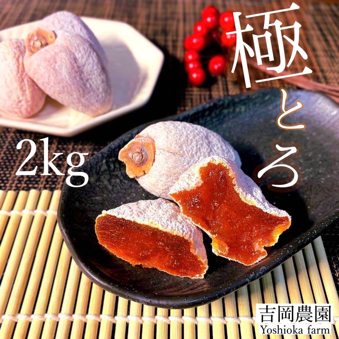 市田柿 干し柿 極トロ厳選2kg 公式 ストア食品・飲料・酒 - 市田柿 干し柿 極トロ厳選2kg