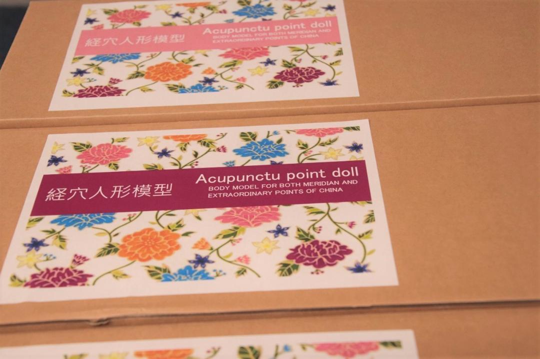 【WHO基準経穴人形模型】女性版　針付き★￥8000→￥7500