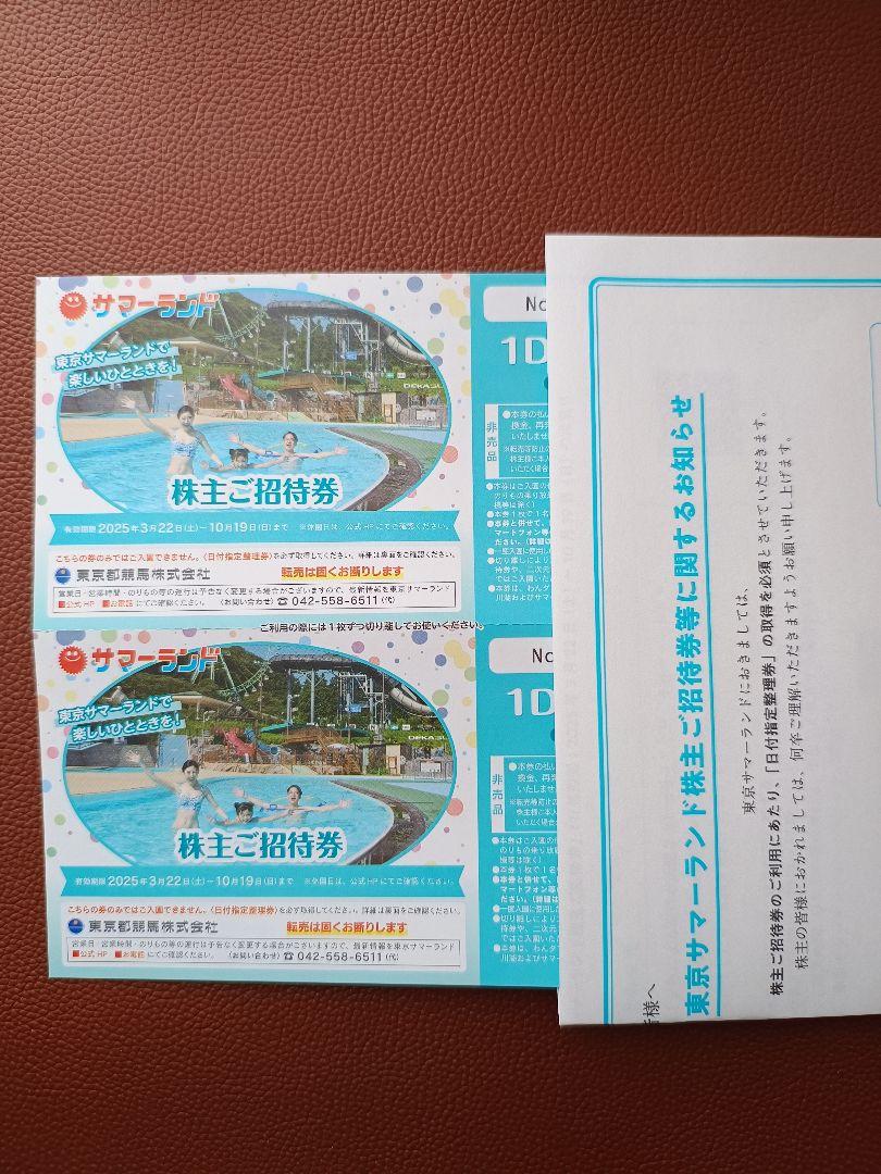 東京サマーランド 1Dayパス 2枚セット