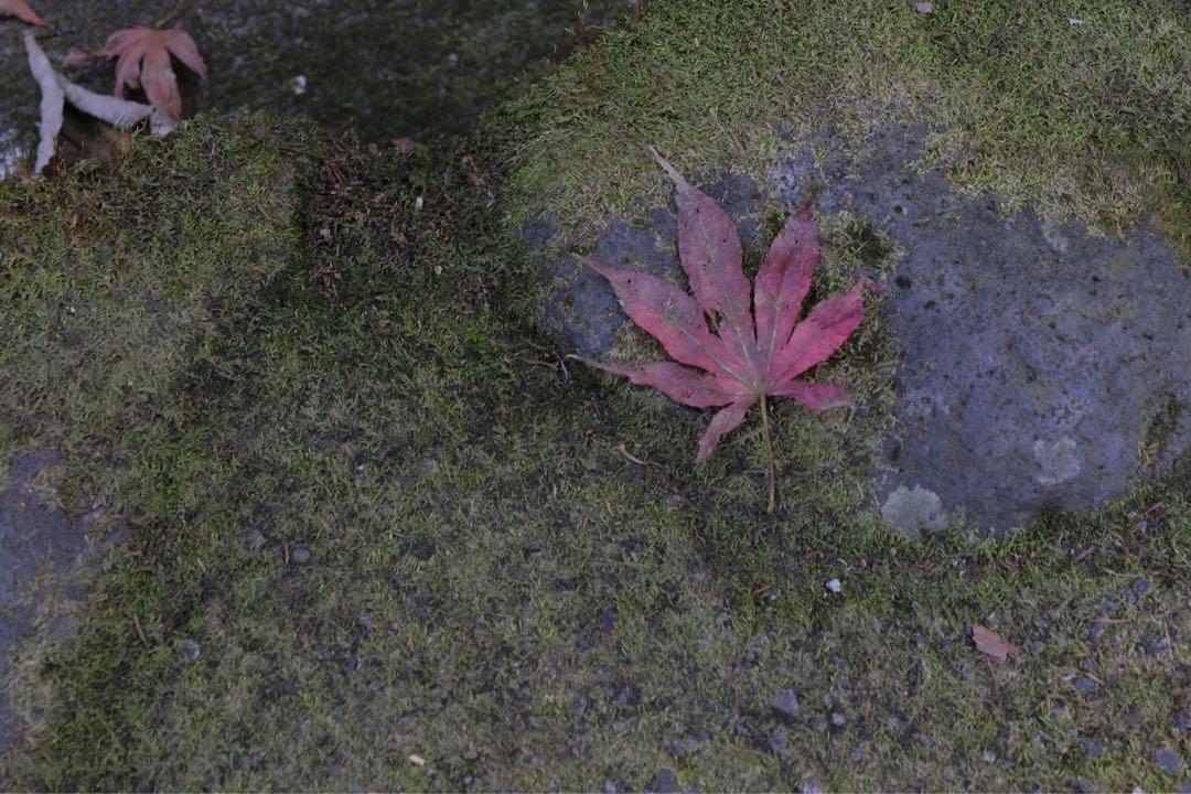 【箱、フィルター付】Fujifilm XF16-55mmF2.8R LM WR