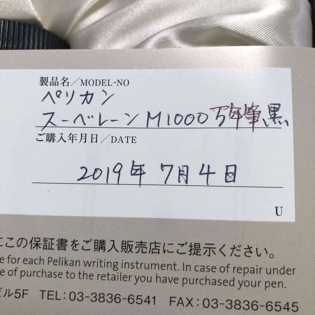 Pelikan M1000 万年筆 インクセット