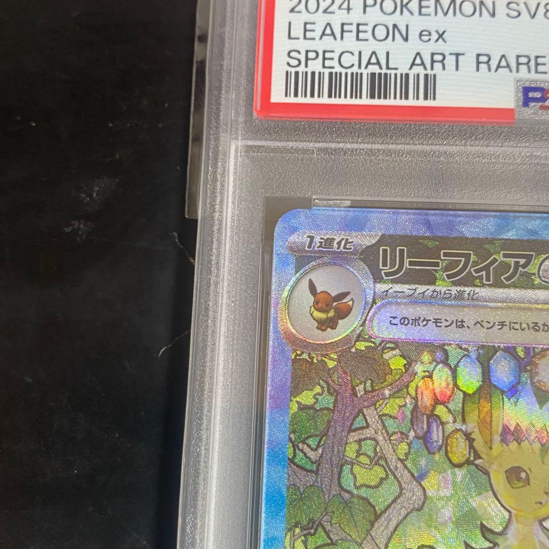 テラスタルフェスPokemon Card