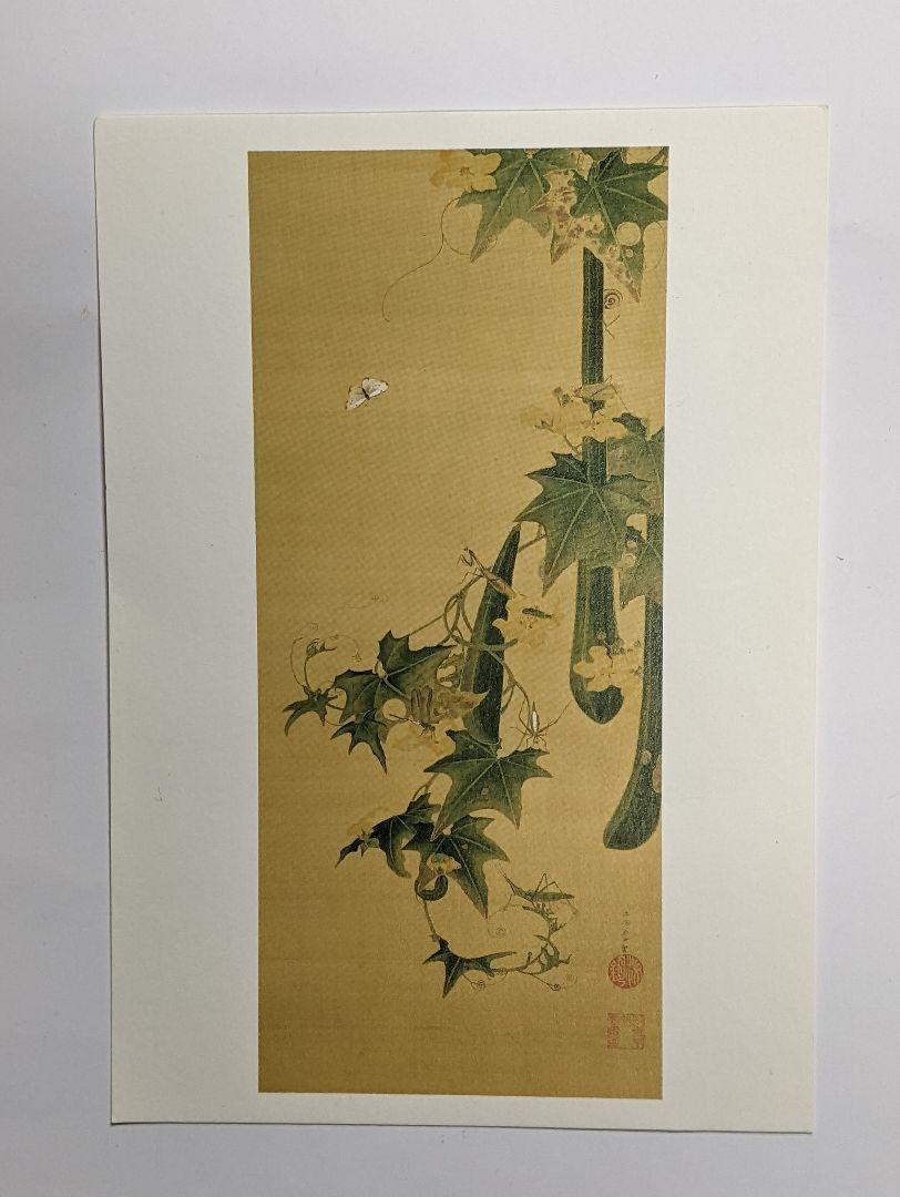 伊藤若冲 糸瓜群虫図 細見美術館 ポストカード - メルカリ