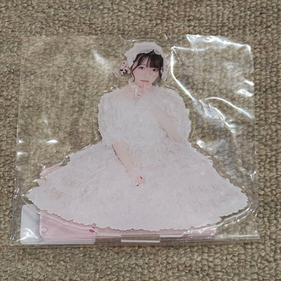 菅野真衣 アクリルスタンド まとめ売り 菅野真衣 アクリルスタンド まとめ売り
