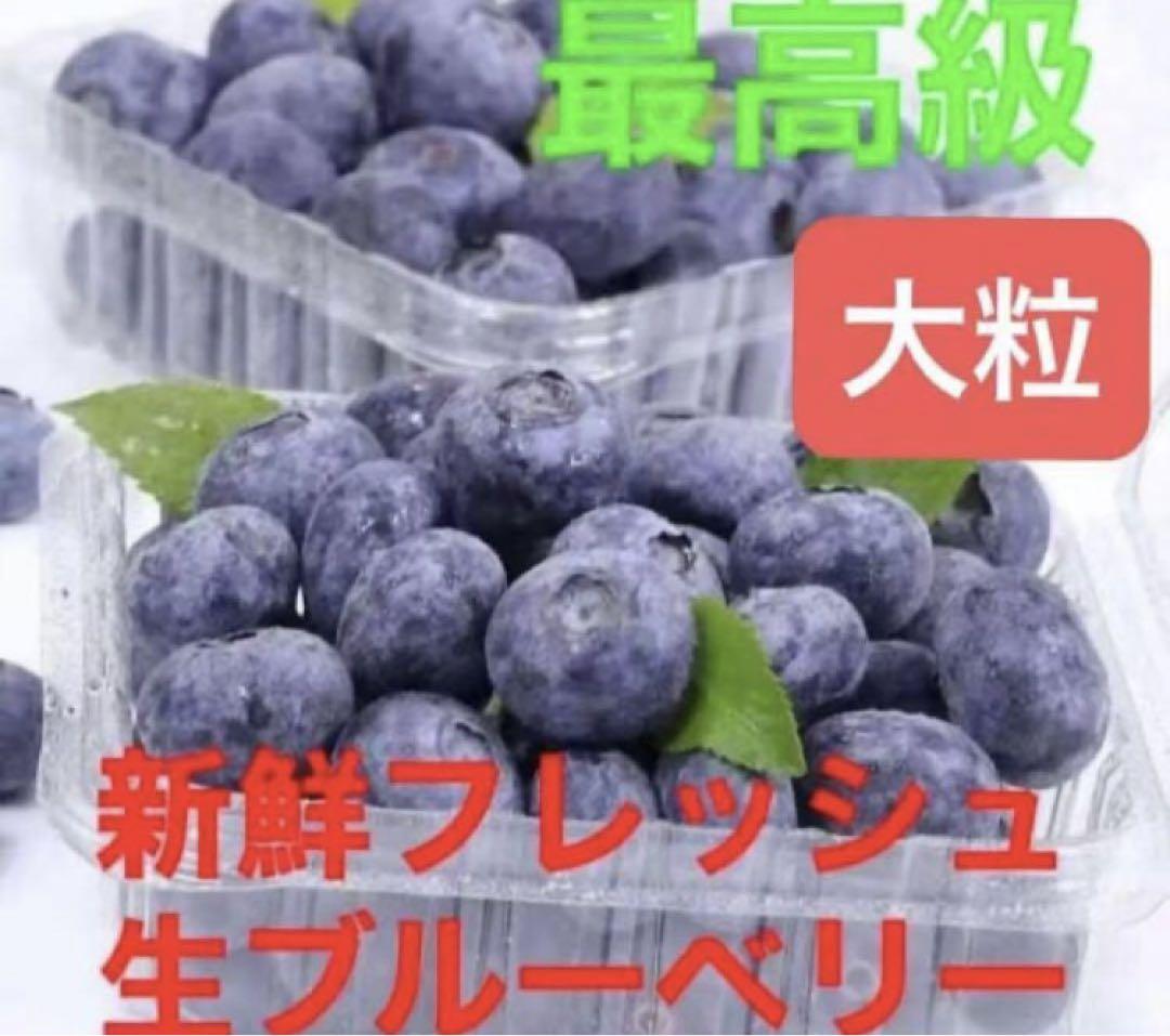 高級採れたてブルーベリー特大粒秀品　数量限定　新鮮フレッシュ生ブルーベリー2kg 新入荷 特大秀品 高級採れたて 新鮮フレッシュ 生ブルーベリー