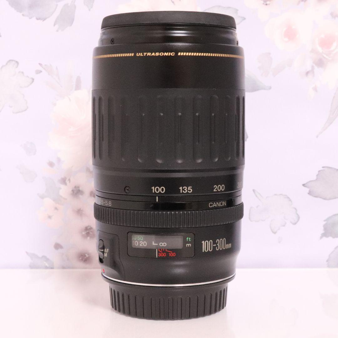 イベントやスポーツ撮影などで大活躍の超望遠☆キャノン EF 100-300mm♡
