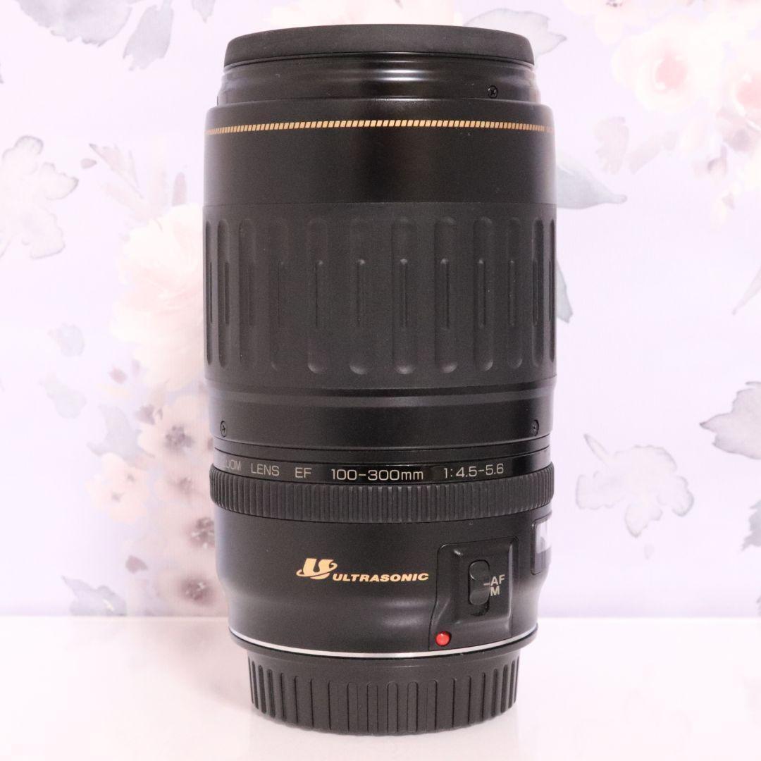 イベントやスポーツ撮影などで大活躍の超望遠☆キャノン EF 100-300mm♡