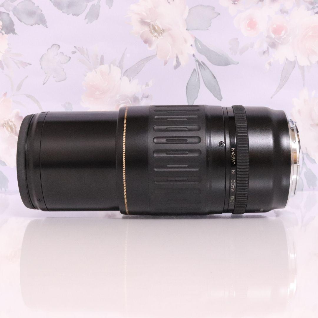 イベントやスポーツ撮影などで大活躍の超望遠☆キャノン EF 100-300mm♡