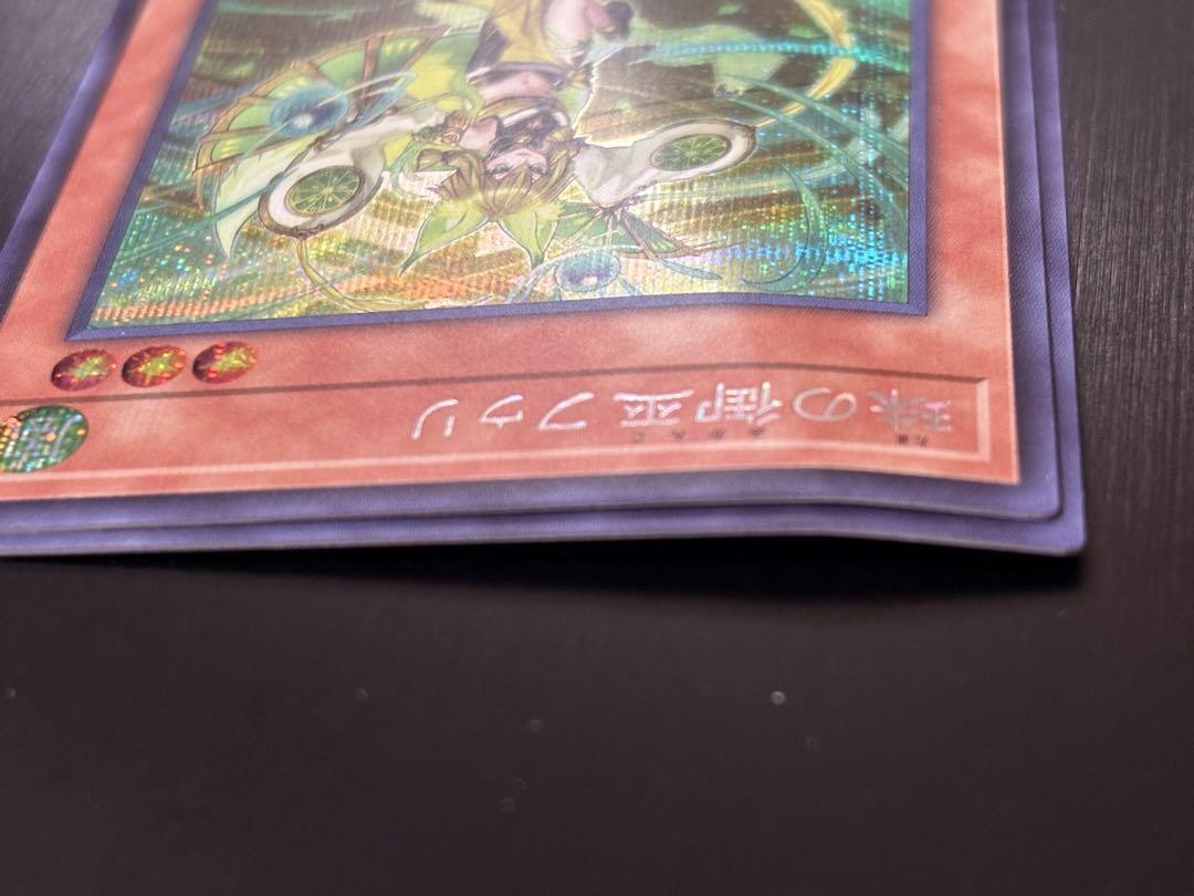 遊戯王 - 【専用出品】確認用 71C9Q84T6vL._UF350,350_QL50_.jpg