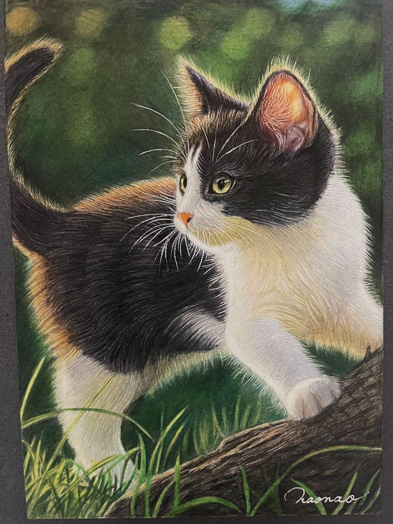 色鉛筆画 A4 ハチワレ猫125 競売 A4 色鉛筆画 人気の ハチワレ猫125 絵画 - 絵画 絵画 - 絵画
