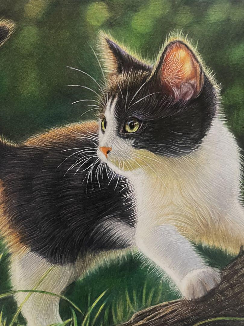 色鉛筆画 A4.ハチワレ猫 サンタ.2 色鉛筆画 A4 ハチワレ猫132 - メルカリ
