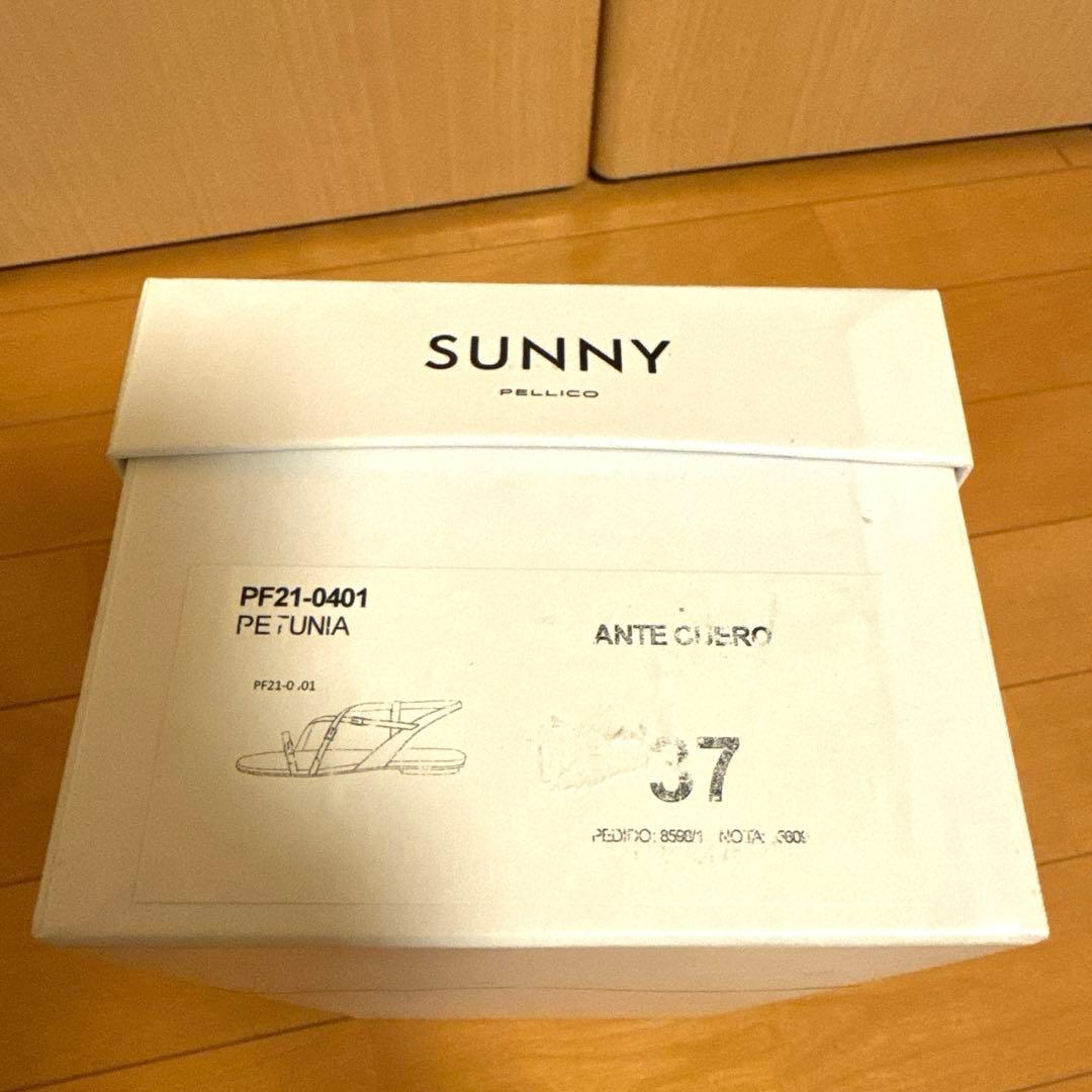 3723.5cm・PELLICO SUNNY