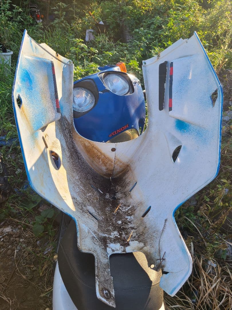 NS--1 後期 ライト付きカウル