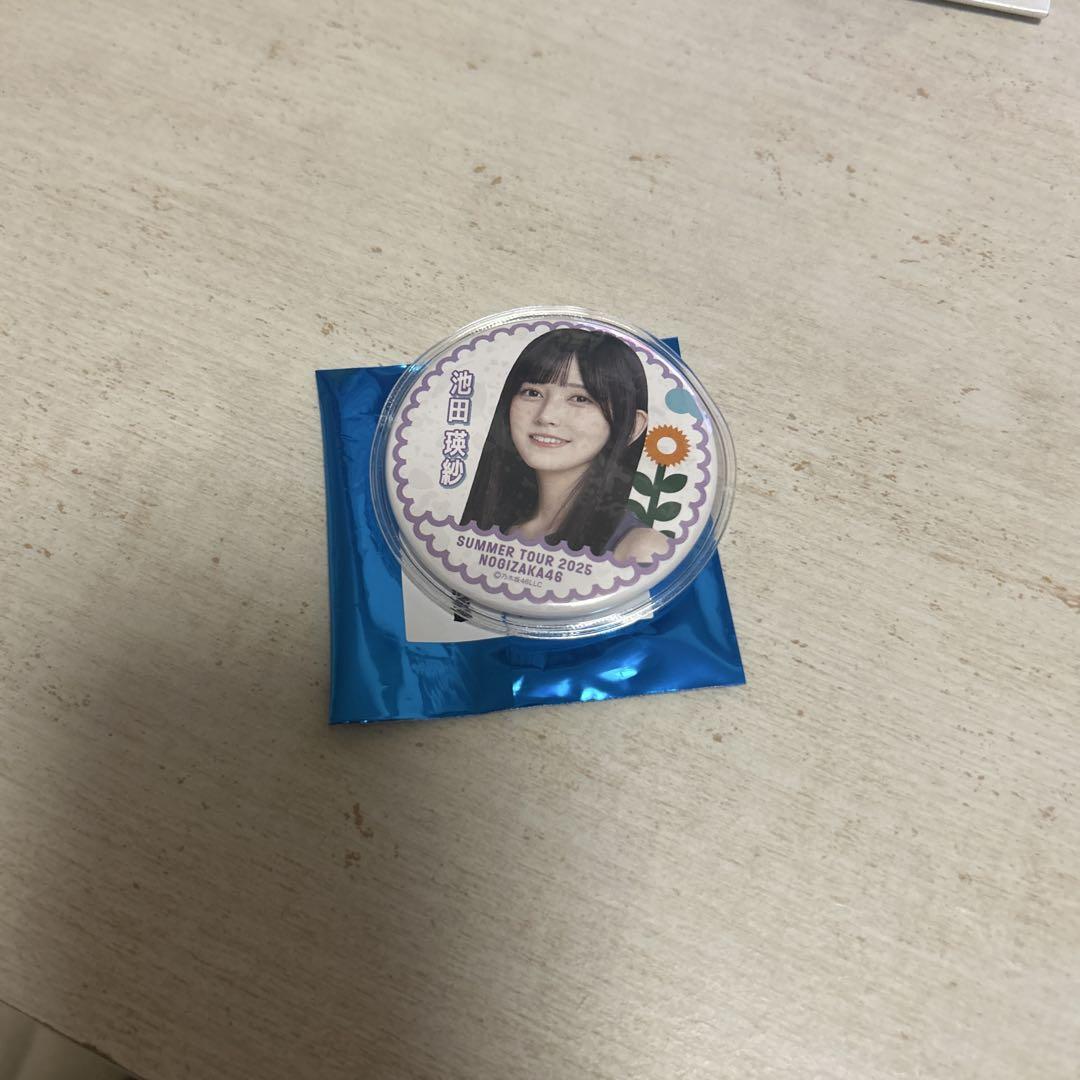 乃木坂46 池田瑛紗 缶バッジ まとめ売り 乃木坂46 池田瑛紗 缶バッジ まとめ売り - メルカリ