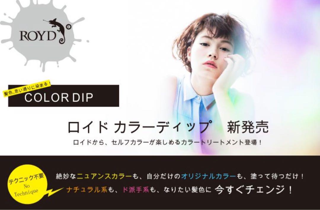 ロイド カラーディップ 200g （メタリックシルバー）6個セット 新品未使用品