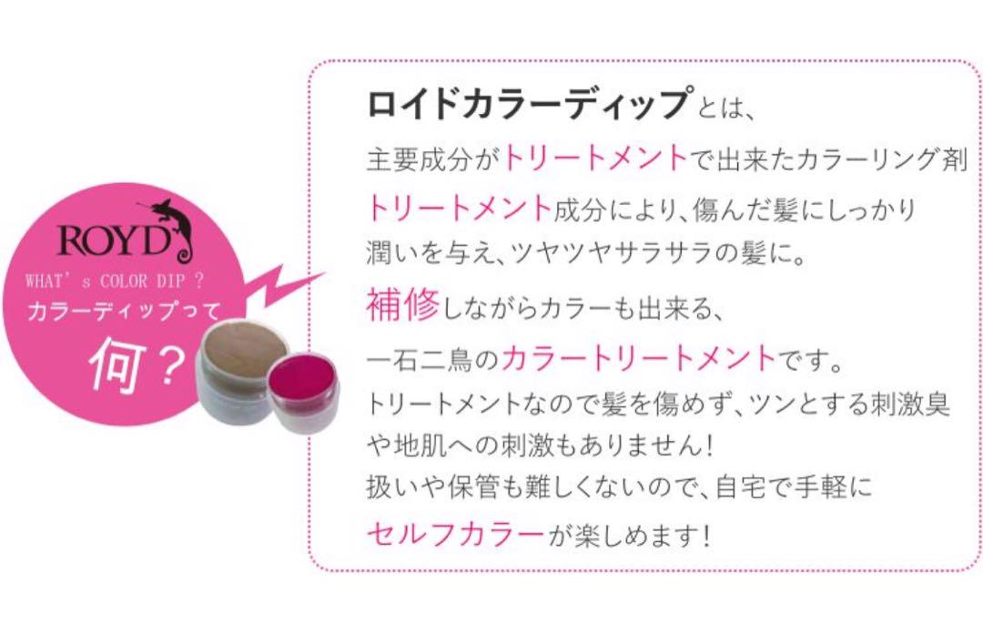ロイド カラーディップ 200g （メタリックシルバー）6個セット 新品未使用品