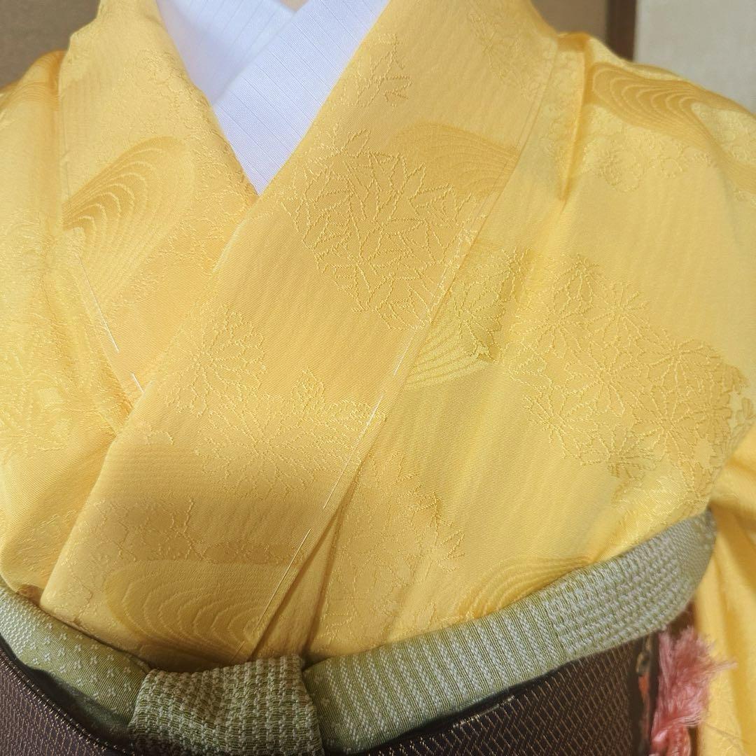 【新品】しつけ付　単衣　色無地　居敷当て付　トールサイズ　正絹