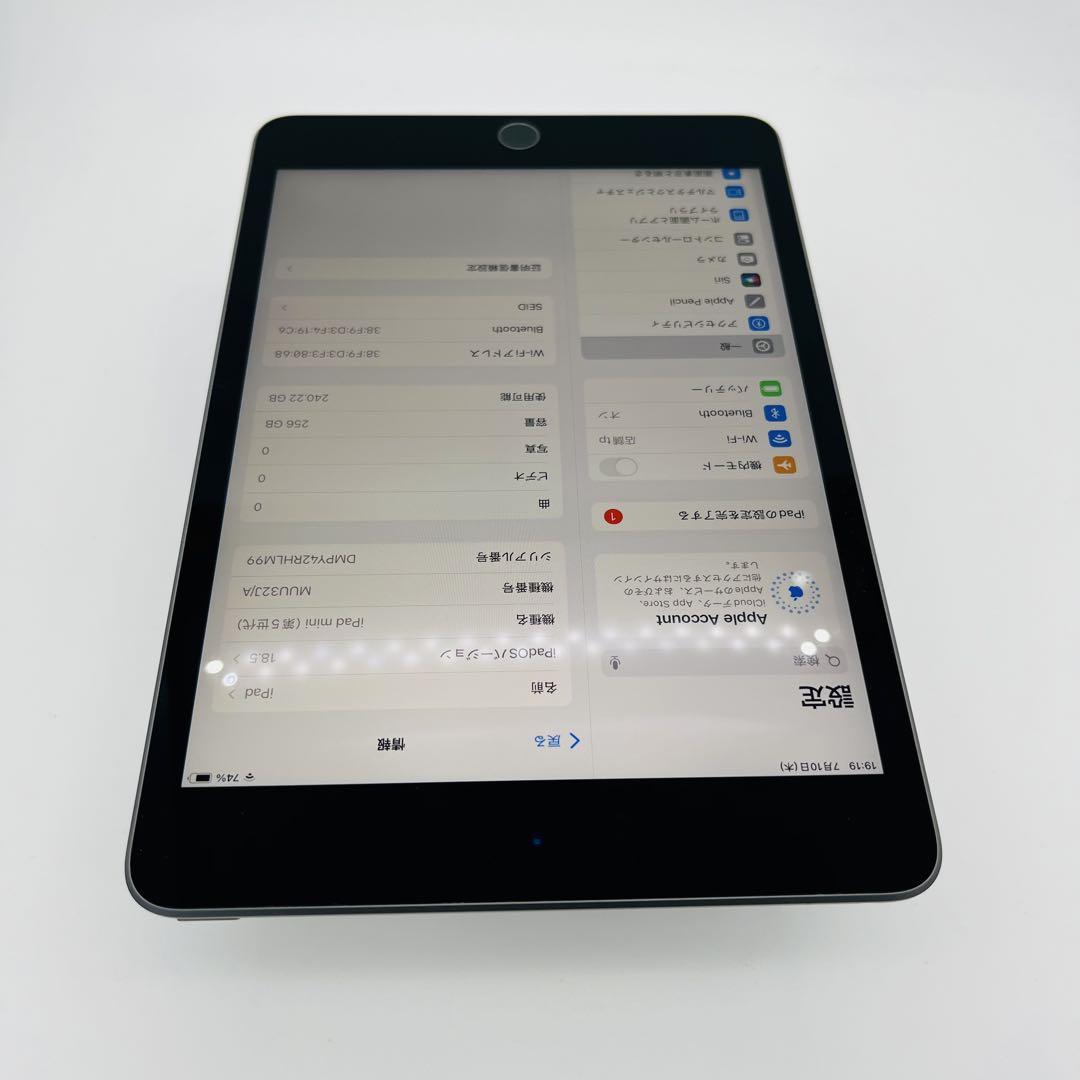A 電池97% iPad mini 5 256 GB SIMフリー 本体 - メルカリ