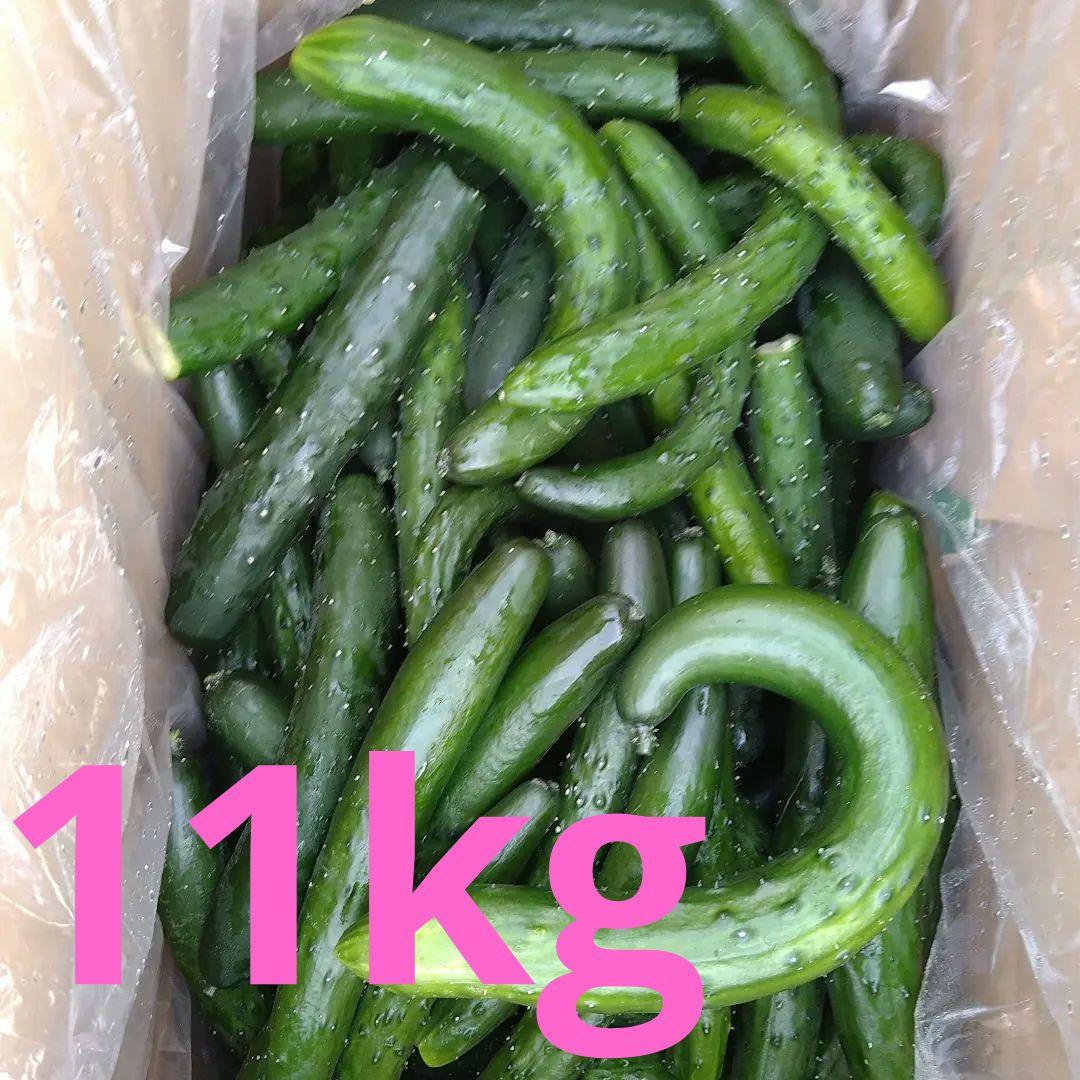 【返品送料無料】 北海道産 黒豆 4kg アサヒ食品工業株式会社 賞味期限2026年12月15日 野菜