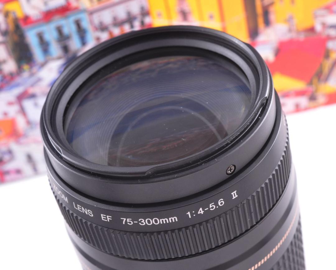 ☆望遠レンズ Canon キヤノン EF75-300mm 想い出の瞬間 #9