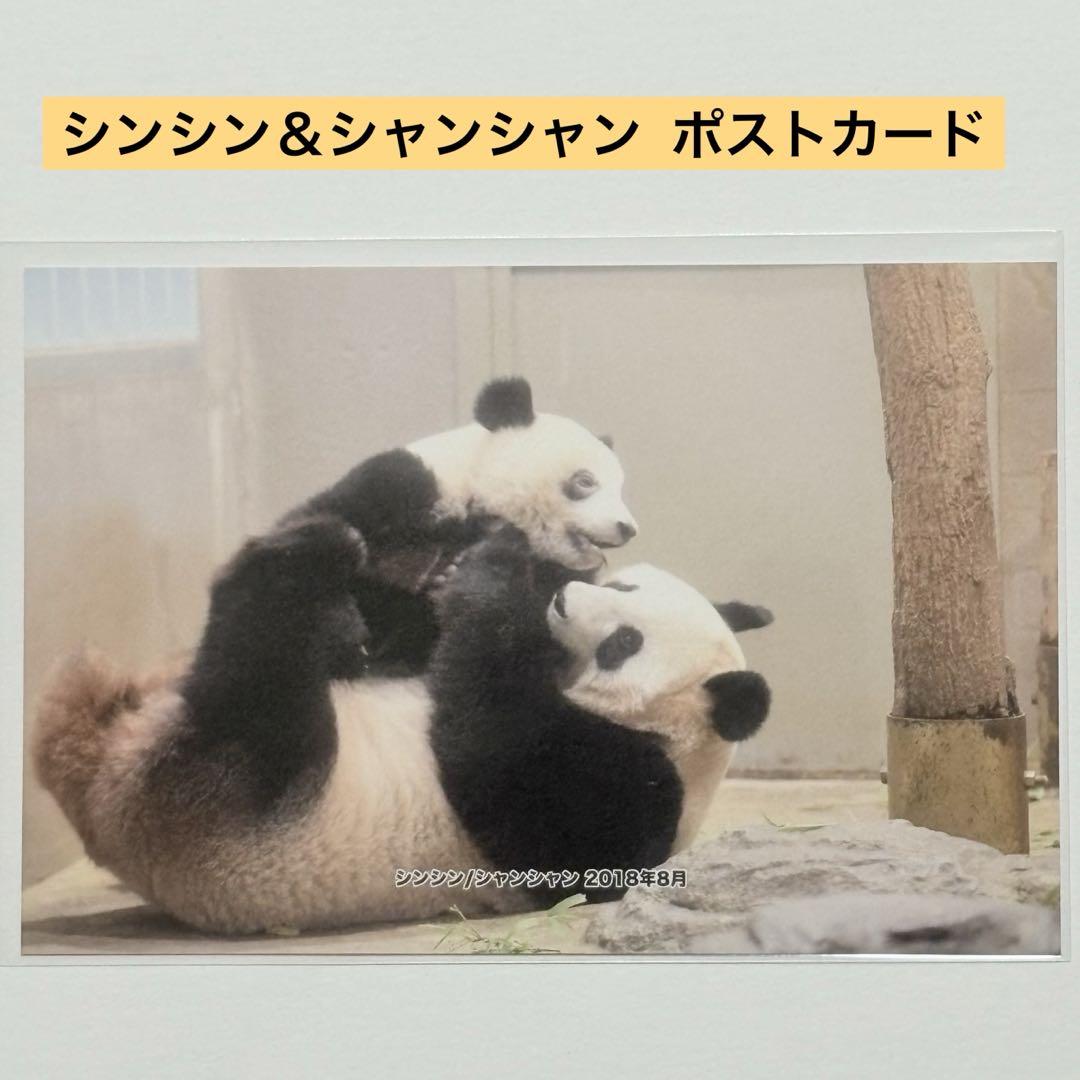 シンシン＆シャンシャン ポストカード 上野動物園 公式写真