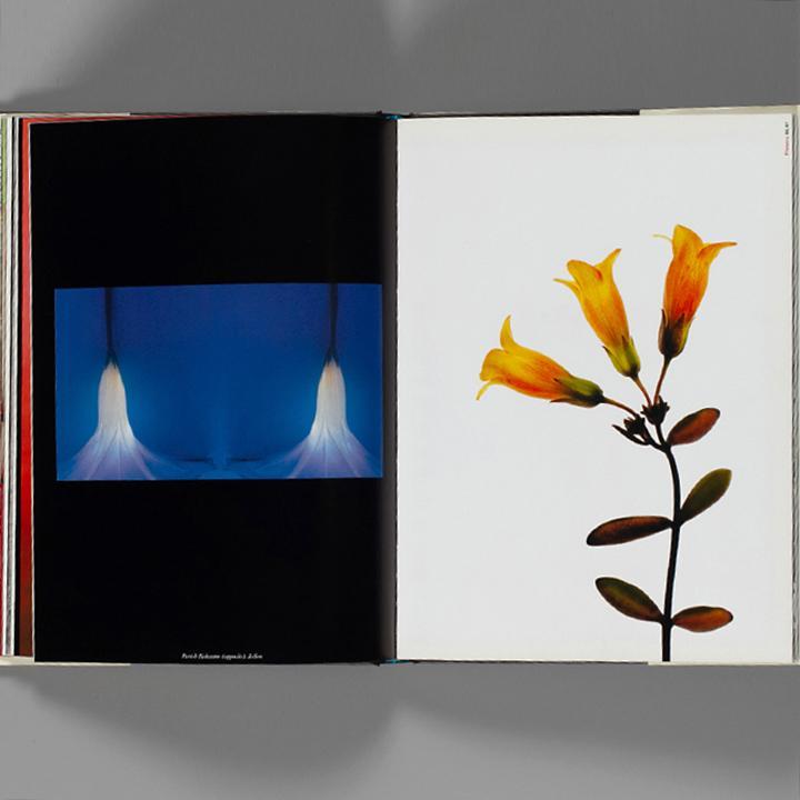 アート・デザイン・音楽 GRAPHIS PHOTO ANNUAL 2003 By B. Pedersen