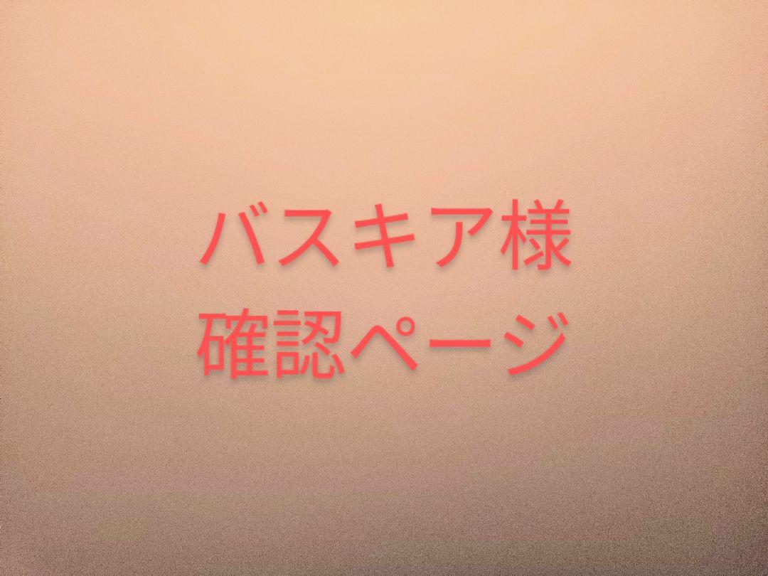 バスキア様確認用