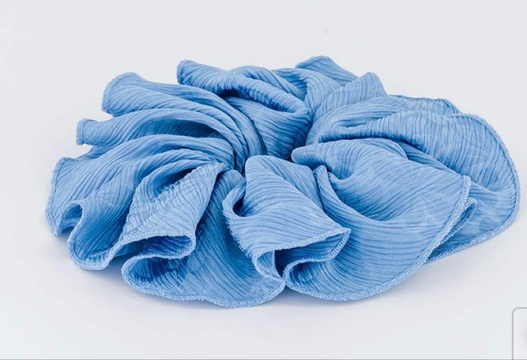 新品 アレクサンドルドゥパリ ブルーシュシュ 新品 アレクサンドルドゥパリ ブルーシュシュ