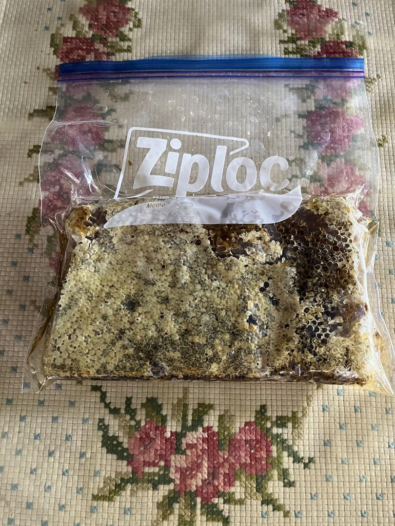 日本ミツバチ巣みつ1110g 冬越フルーティ春蜜 令和7年7月9日早朝 欅箱採蜜