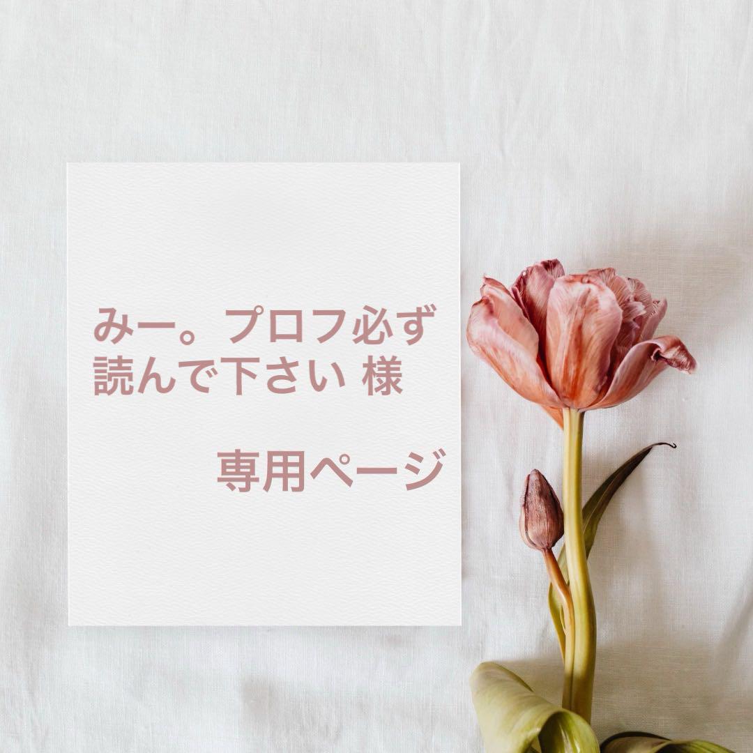 ◆みー。プロフ必ず読んで下さい 様専用ページ
