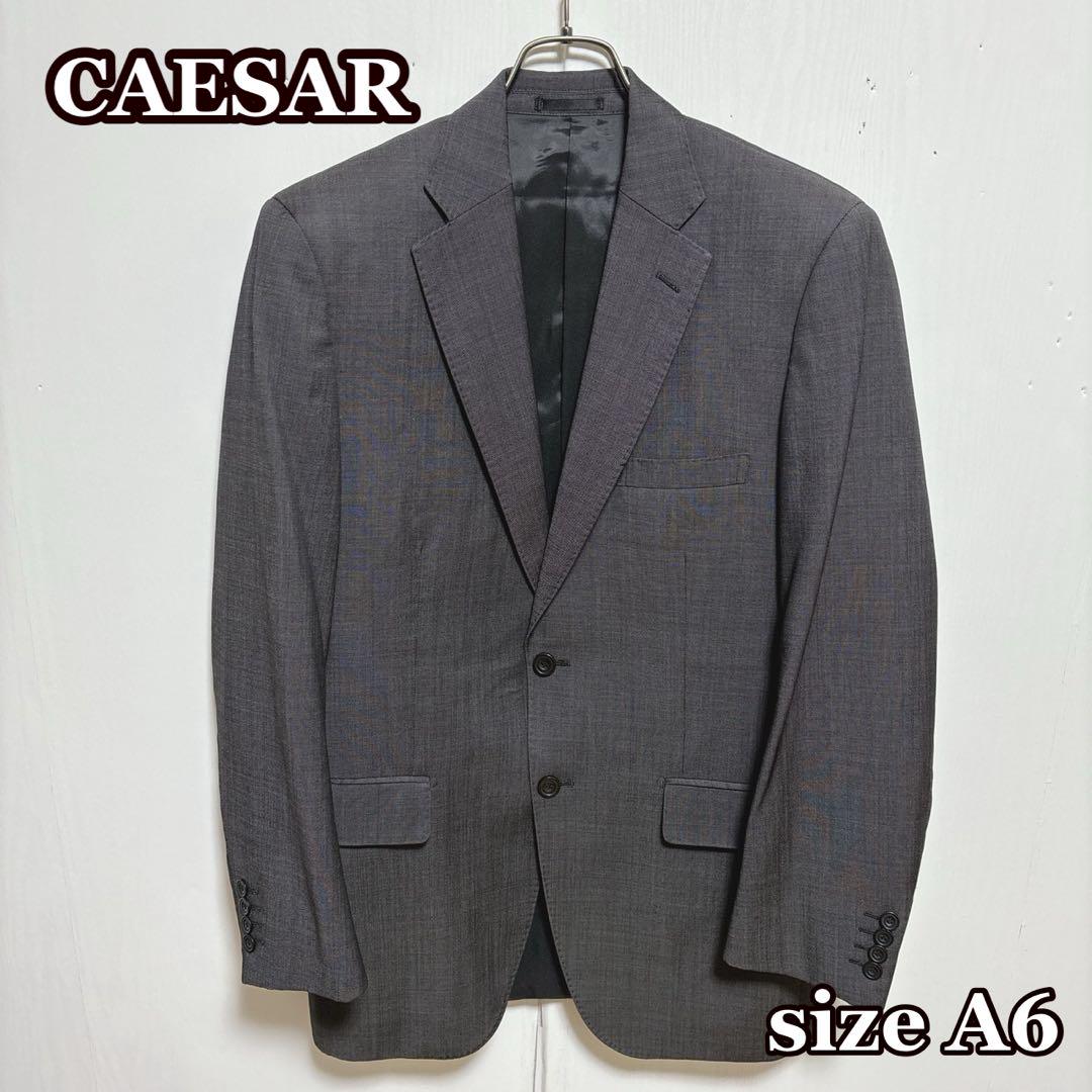 イタリアREDA生地使用 メンズジャケット CAESR ウール100% A6