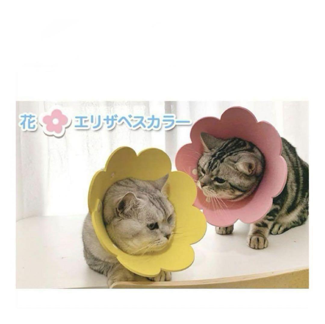 エリザベス 猫