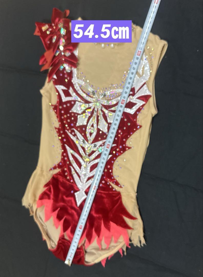 新体操☆レオタード　競技用　ジュニア ジュニア 女子体操 レオタード 長袖 （wundou） P-520 激安 体操