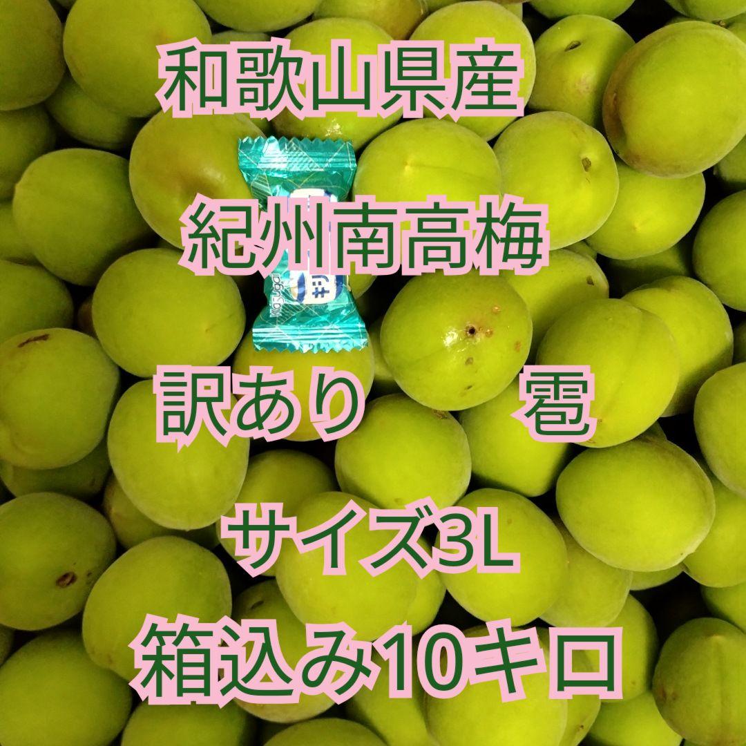 和歌山県産　紀州南高梅　サイズ3L　訳あり　雹　箱込み10キロ　青梅