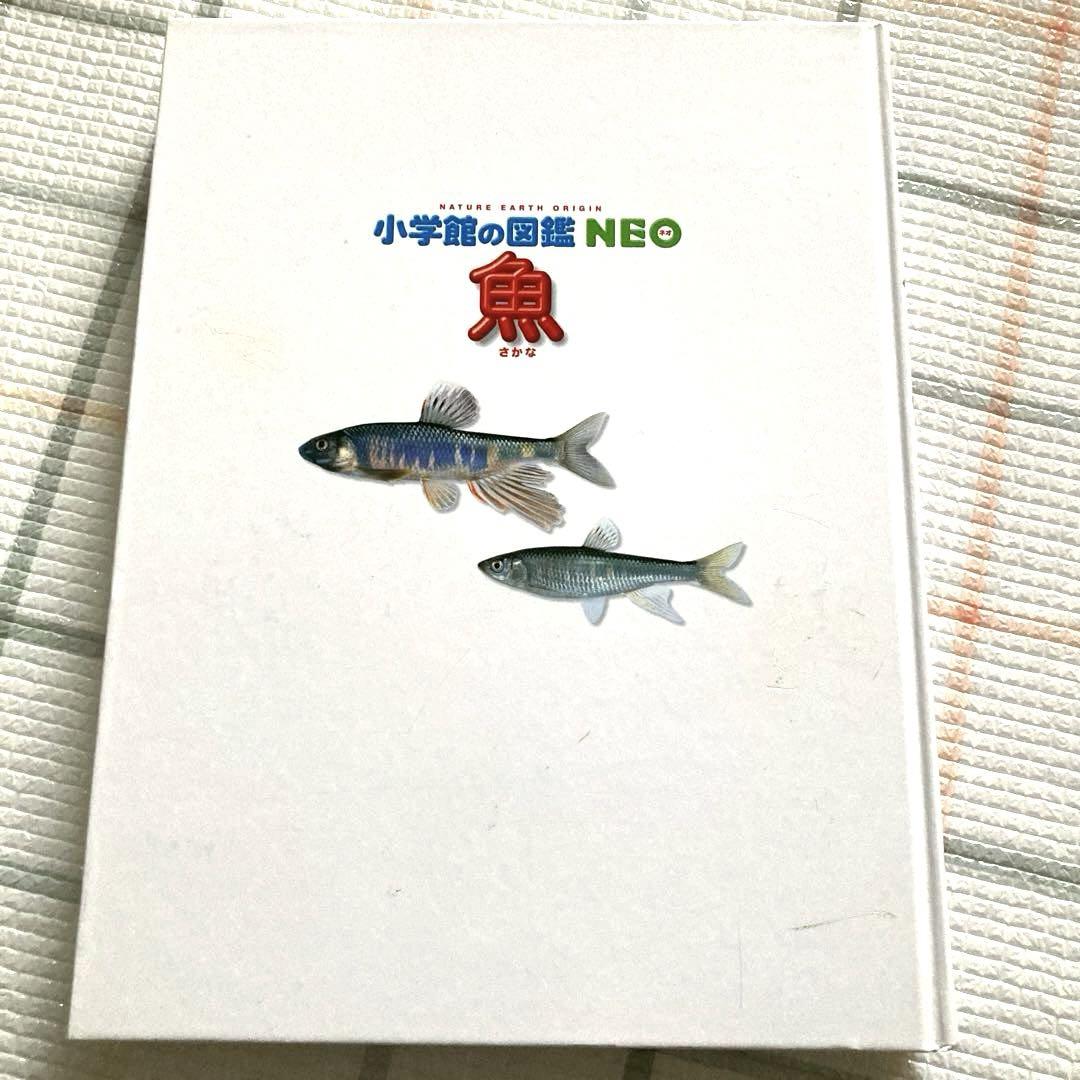 小学館の図鑑NEO ネオ 動物 魚 セット 本 恐竜 ポケット 学習