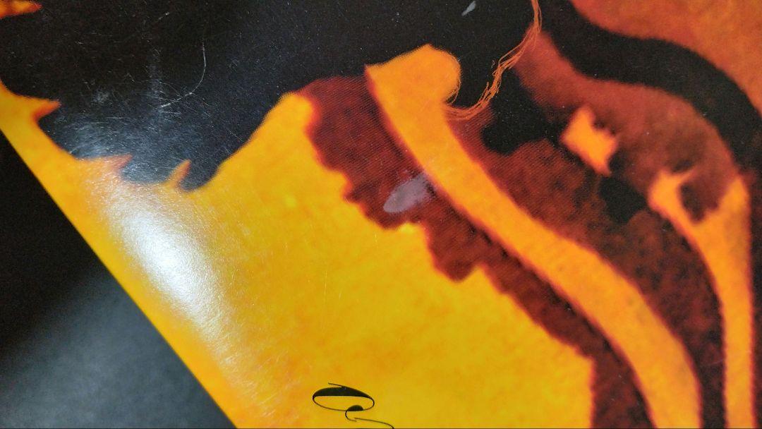 AVAIL Over the James 　LOOK OUT盤 レコード
