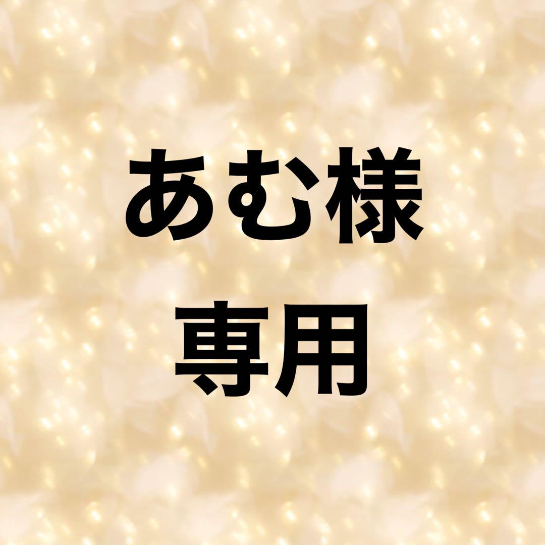 あむ様専用　ビーズミックス