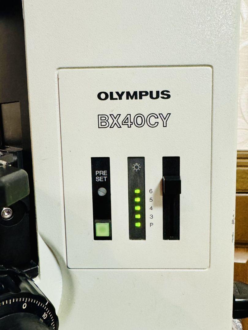 Olympus BX40CY