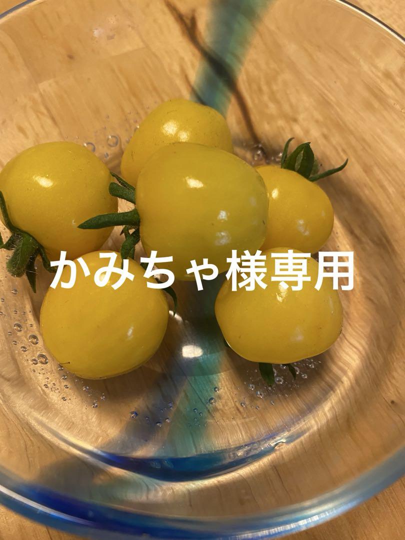 かみちゃ様専用です