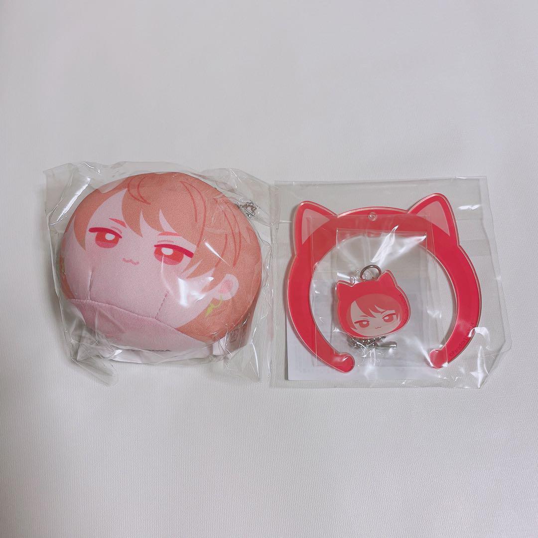 Paradox Live パラライ　円山玲央　もっちぬい　12個 グッズ-ぬいぐるみ】Paradox Live ぬいぐるみ 円山玲央 | アニメイト