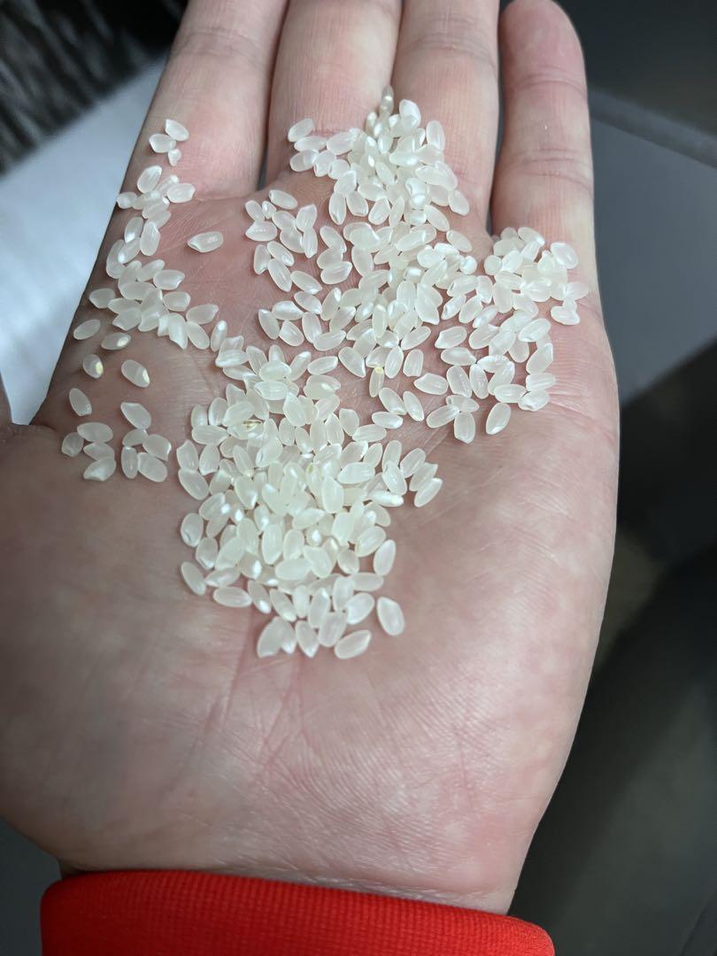 令和6年産　まっしぐら　玄米　10kg