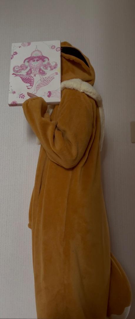 イーブイ バジャマ着ぐるみ