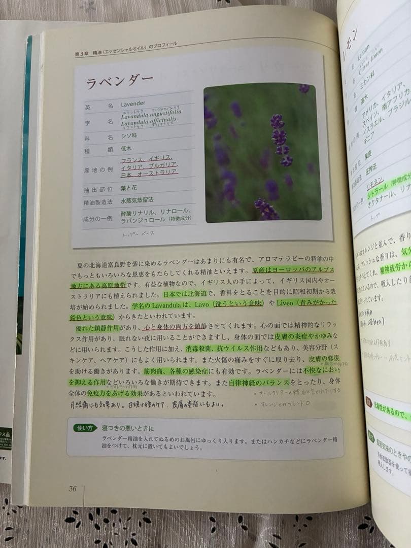 のサムネイル