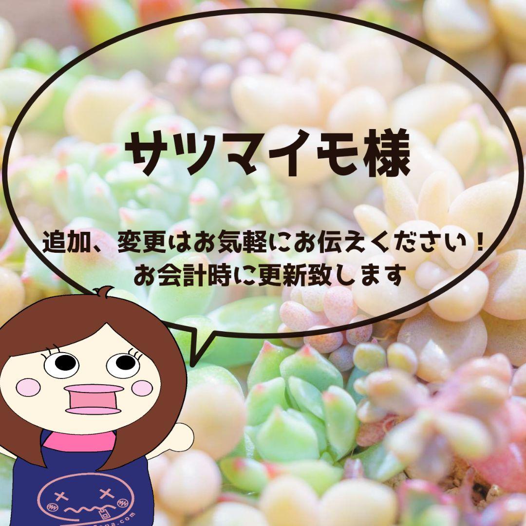 サツマイモ様