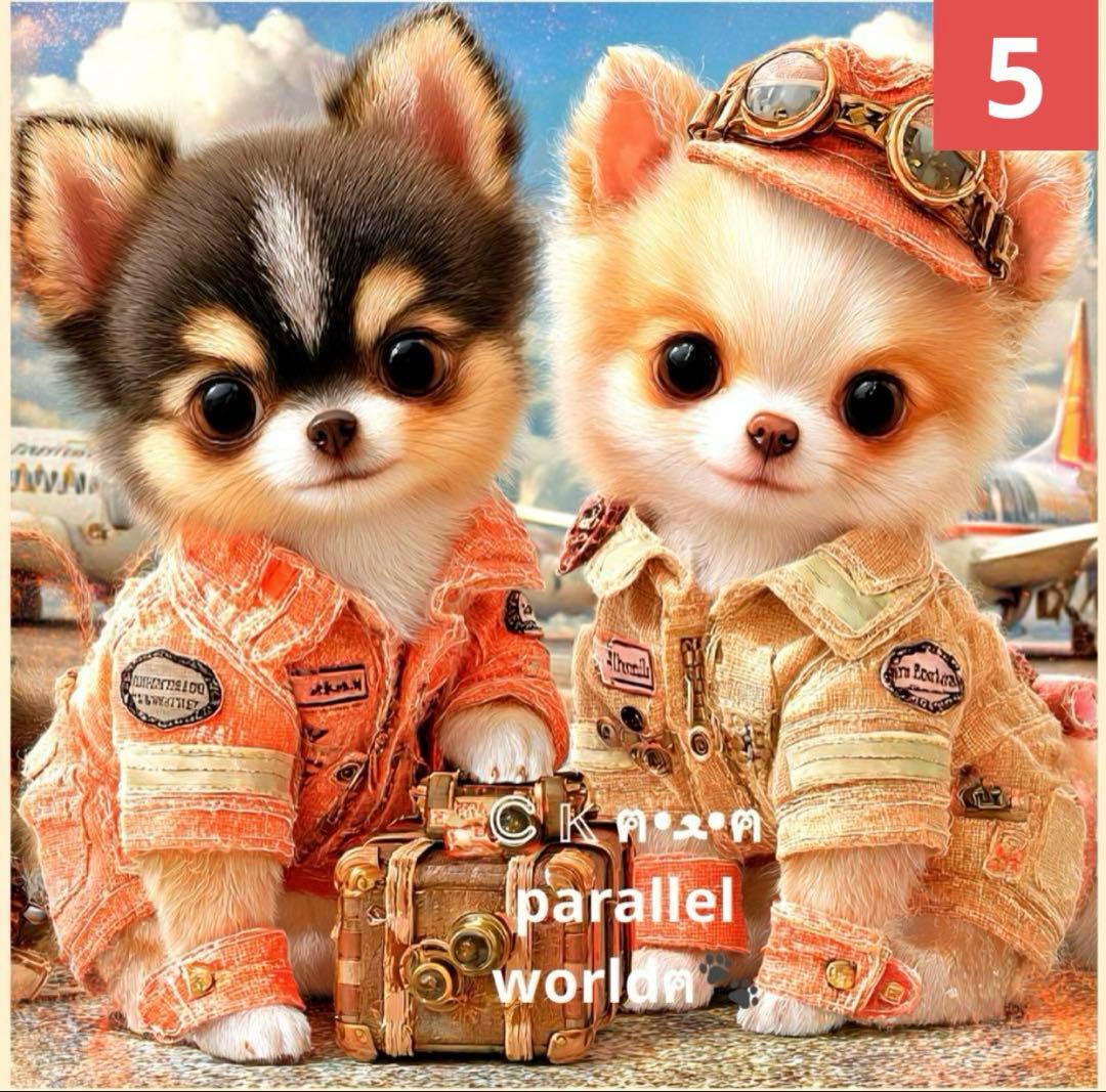 128番 チワワ 各1枚