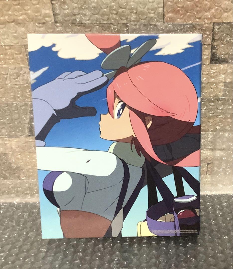 ポケモン　カードファイル　フウロ　ジムリーダー　202504201508