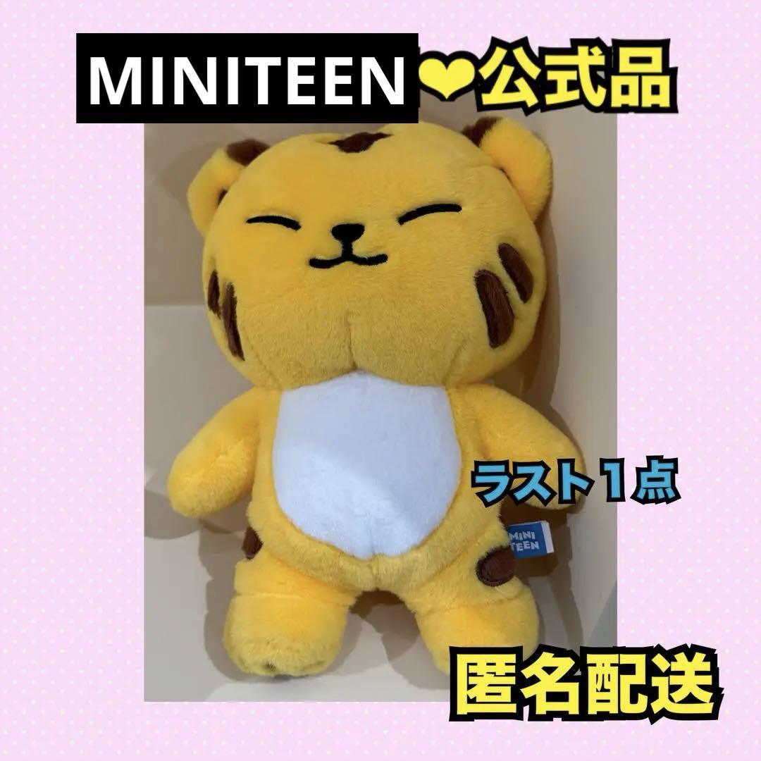 SEVENTEEN MINITEEN ぬいぐるみ　大　ホシ タムタム