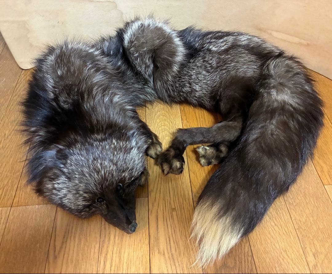 Paul Kammerling fourreurs 毛皮 フォックス マフラー目立った傷や汚れなし